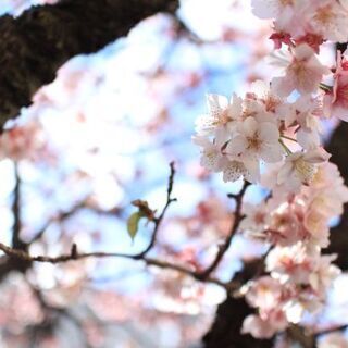 another photographic club　【終了】