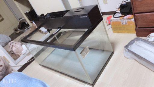 �超綺麗90cm水槽セット4点　エンゼルフィッシュ付き