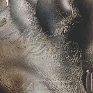Mizuno Pro 硬式 グローブ 投手・内野用 3D TECHNOLOGYの画像