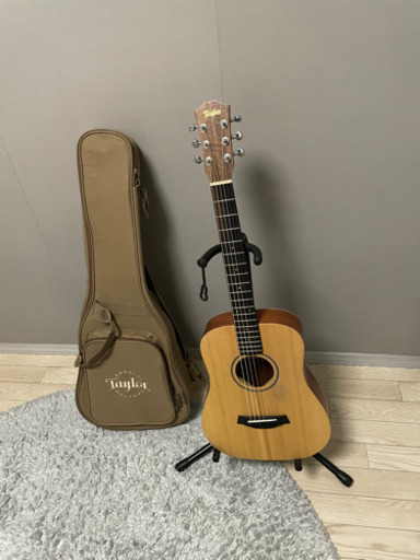 ベイビーテイラー