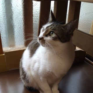 ☆抱っこ好きで落ち着きのある女の子☆