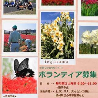手賀沼自然ふれあい緑道の名所づくり　ボランティア募集