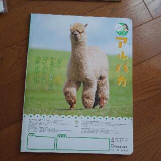 幼稚園児　パズル　よいこのくに各種の画像