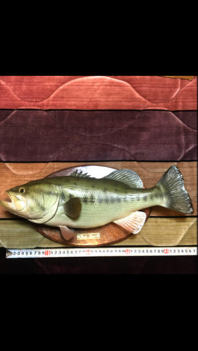 ブラックバスの壁掛け