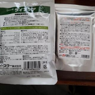 ⏬⤵️ウサギ　強制給餌用　粉末フード　おまけ　ミルクの画像