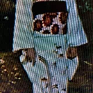 和服を装い鎌倉さくら散策🌸