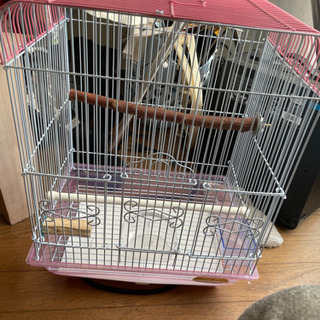小型インコ用ケージあげます