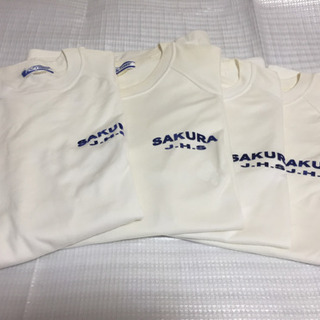 桜ヶ丘中学校 体操服3枚セット 男性用
