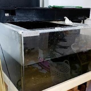 1200水槽セット現状渡し　決定しました❗の画像