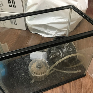 水槽セット×2の画像
