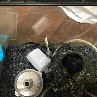 水槽セット×2の画像