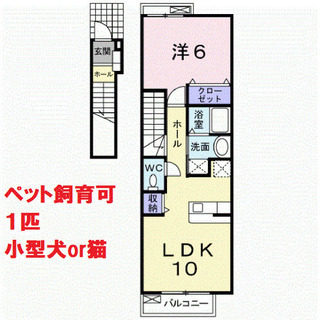 ご成約】築浅なのにペットOK🎵2階角部屋１LDK＆広々駐車場が嬉しい！ - 郡山市