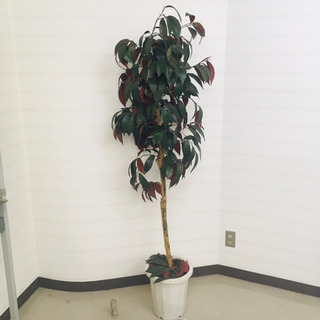 大型観葉植物　フェイクグリーン　造花