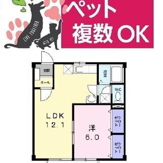 成約済】即入居可☆ペット可（猫なら３匹までOK♪）１LDKでも収納◎クローゼット2面が嬉しいの画像
