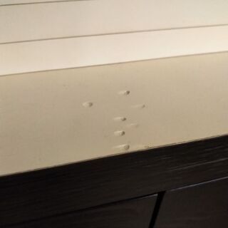 ●ディノス●食器棚や本棚にも使える戸棚の画像