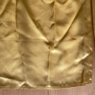 アオザイの画像