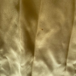 アオザイの画像