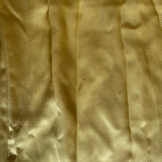 アオザイの画像