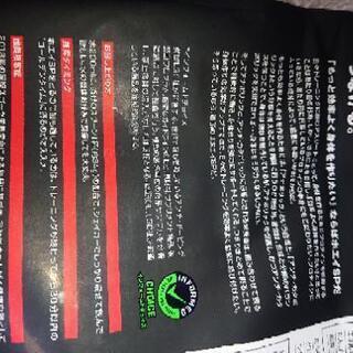 DNS ホエイプロテインSP チョコレート味の画像
