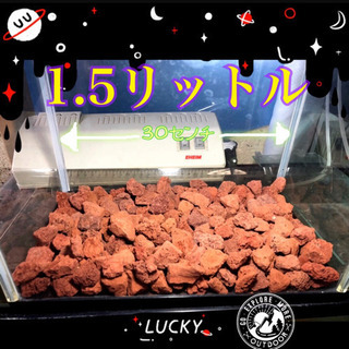 溶岩石　レッド　６リットル【調節可】【発送可】