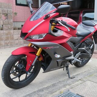ヤマハ　YZF-R25　２０１９モデル　低走行　カウリングプロテクター装備の画像