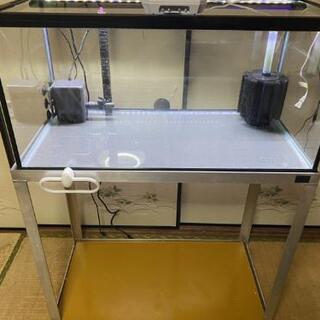 格安！熱帯魚水槽セット 引き取り限定！