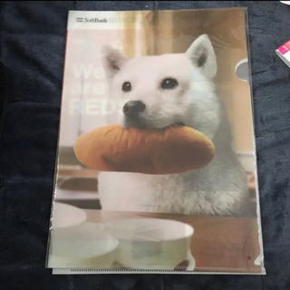 非売品 ソフトバンク お父さん クリアファイル