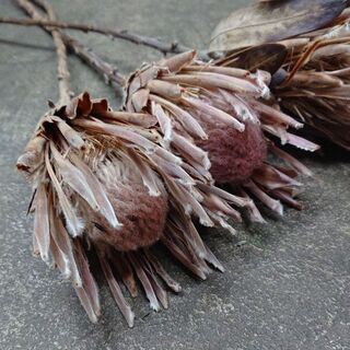 やっぱりステキ！フラワーアレンジ　花と植物ステキ応援の画像