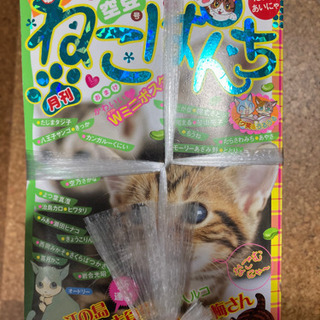 ねこぱんち6冊無料