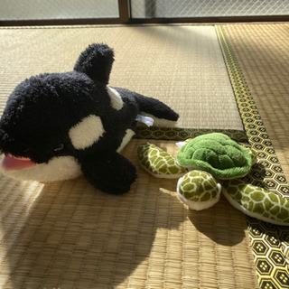 シャチと亀のぬいぐるみ