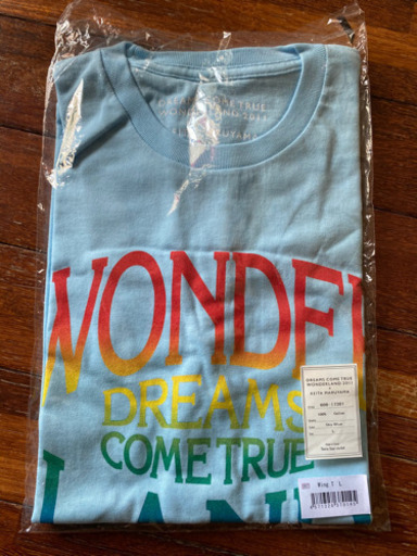 ドリカムTシャツ