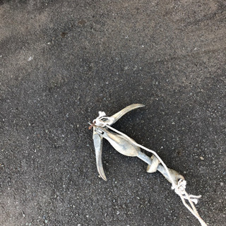 バス釣りゴムボート釣りに是非どうぞ