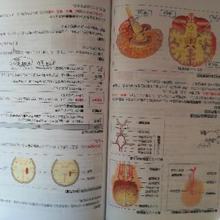 99%書き込み無！薬剤師国家試験対策2021年版青本全巻の画像