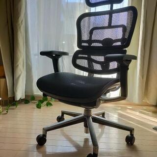 エルゴヒューマン