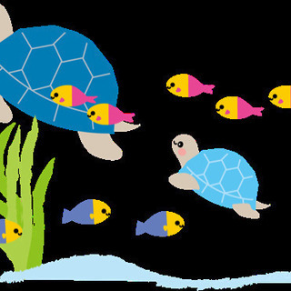宮古島の生き物