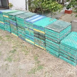 折り畳み　コンテナ　　農作業　水切りなど便利です。