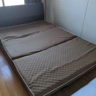 売約済み！！