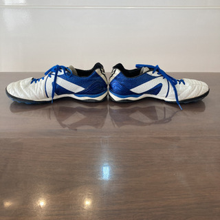 アンブロトレシュー(26.5)の画像