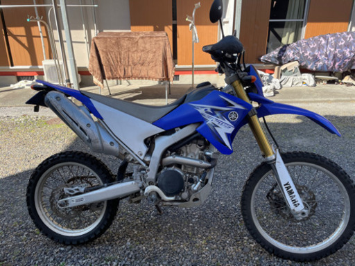 WR250‼️