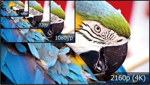 アイリスオーヤマ ４Ｋチューナー内蔵液晶テレビ５０インチ 50XUB30