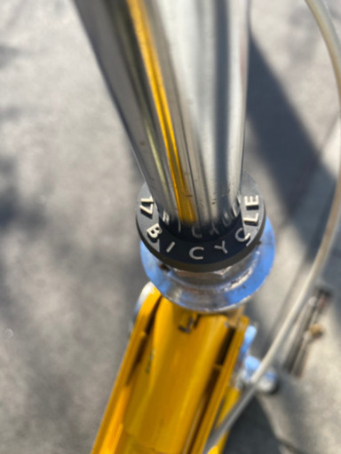 17BICYCLE EX WALKER