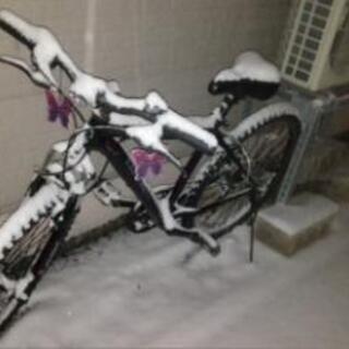 自転車
