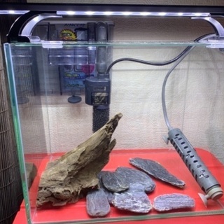 【中古】30cm水槽セット