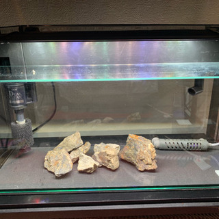 【中古】60cmスリム水槽セット