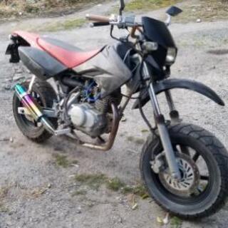 XR50
