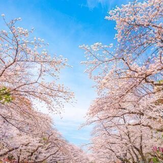 ＃本日開催　急募！　2021/3/30（火）16:00～【上野】...