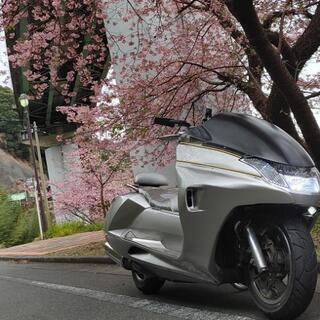 ツーリング仲間募集でーす。。。個人メッセージくたさい！！