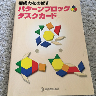 ❗️値下げ❗️パターンブロック 250ピース とタスクカード セットの画像
