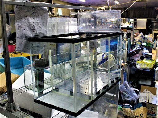 ウールボックス付　60ｃｍ濾過槽 ６０×３０×ｈ３６