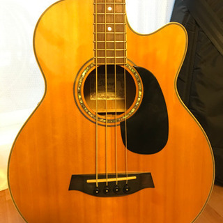 IBANEZ AEB10E-NTの画像